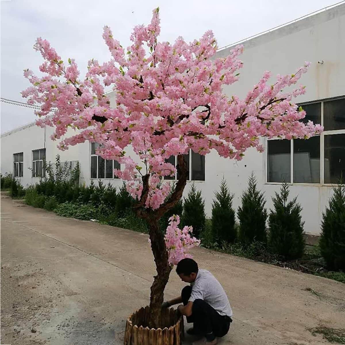 Avis sur l'arbre fleur de cerisier artificiel japonais Sakura