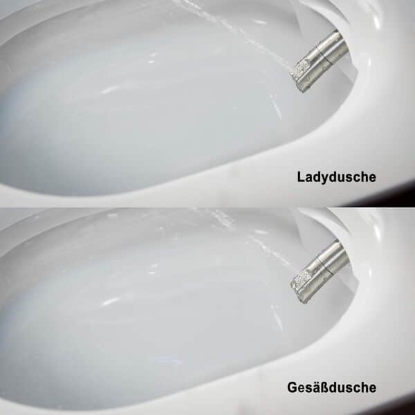 BERNSTEIN - Toilettes WC japonais suspendu lavant Cuvette céramique Blanc brillant + télécommande, jet douche, séchoir air chaud, filtre anti-odeurs, Chasse Vortex 180° - 59x38x38cm - Pro+1102