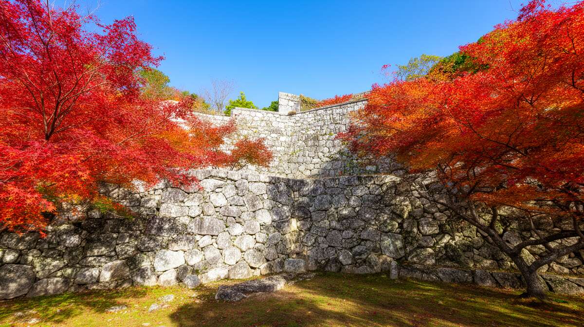 Le ch&acirc;teau de nakijin &agrave; travers les saisons