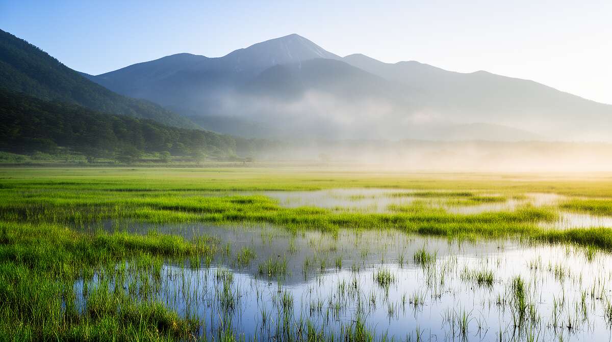 Les monts kuju : un panorama imprenable sur le marais tadewara