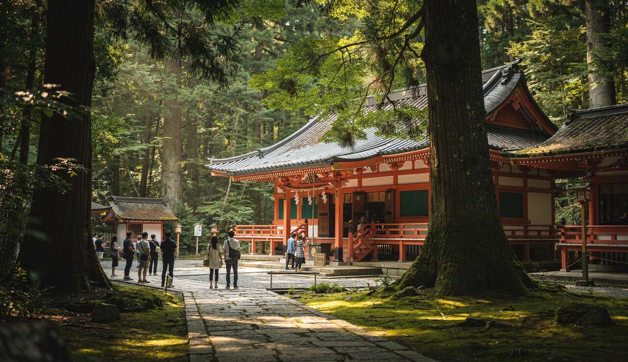 La for&ecirc;t mill&eacute;naire de tadasu