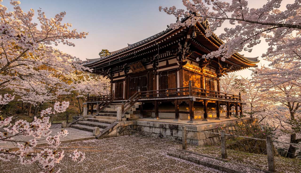 Vue panoramique sur nara