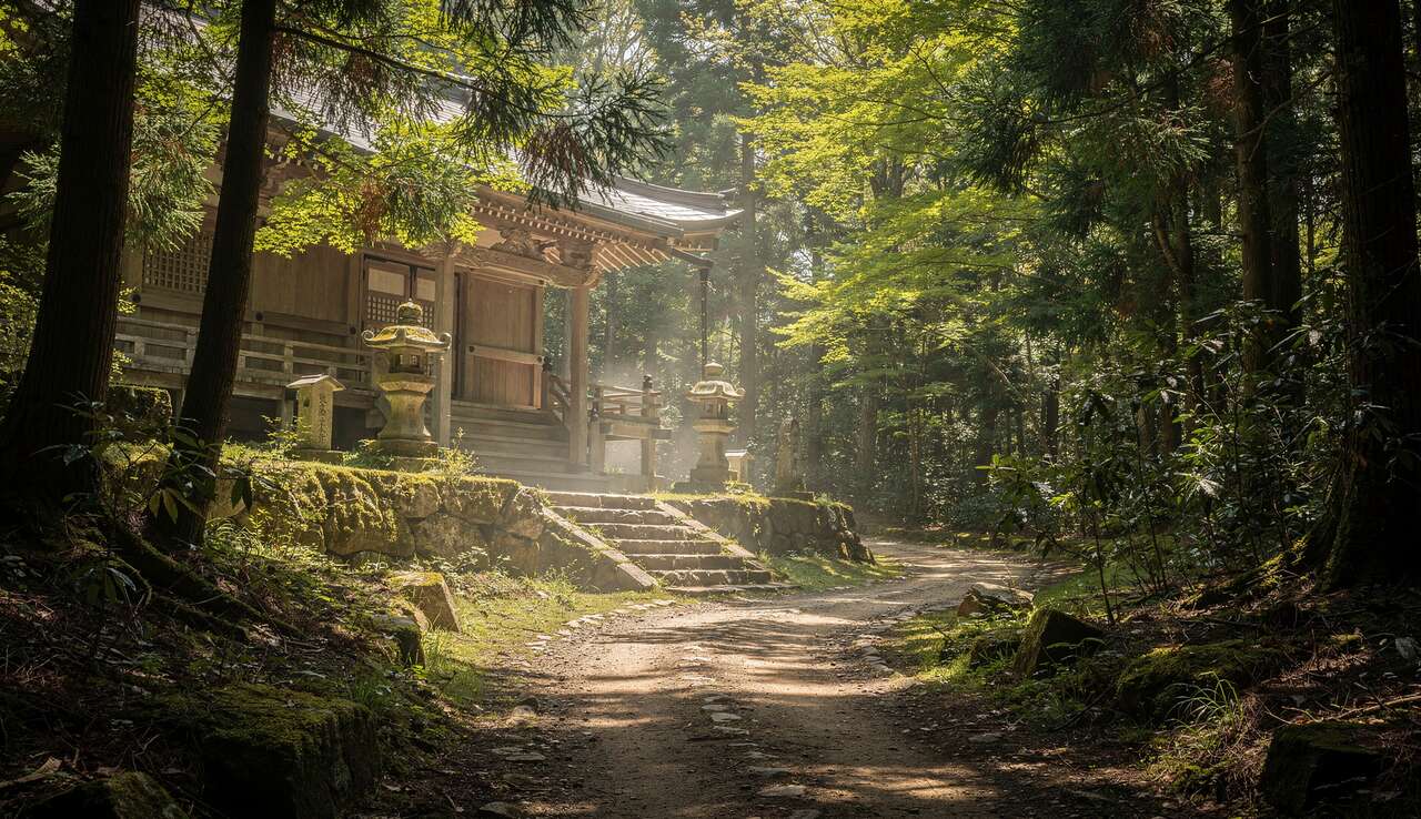 Randonn&eacute;e et nature : parcourir les sentiers du mont kurama