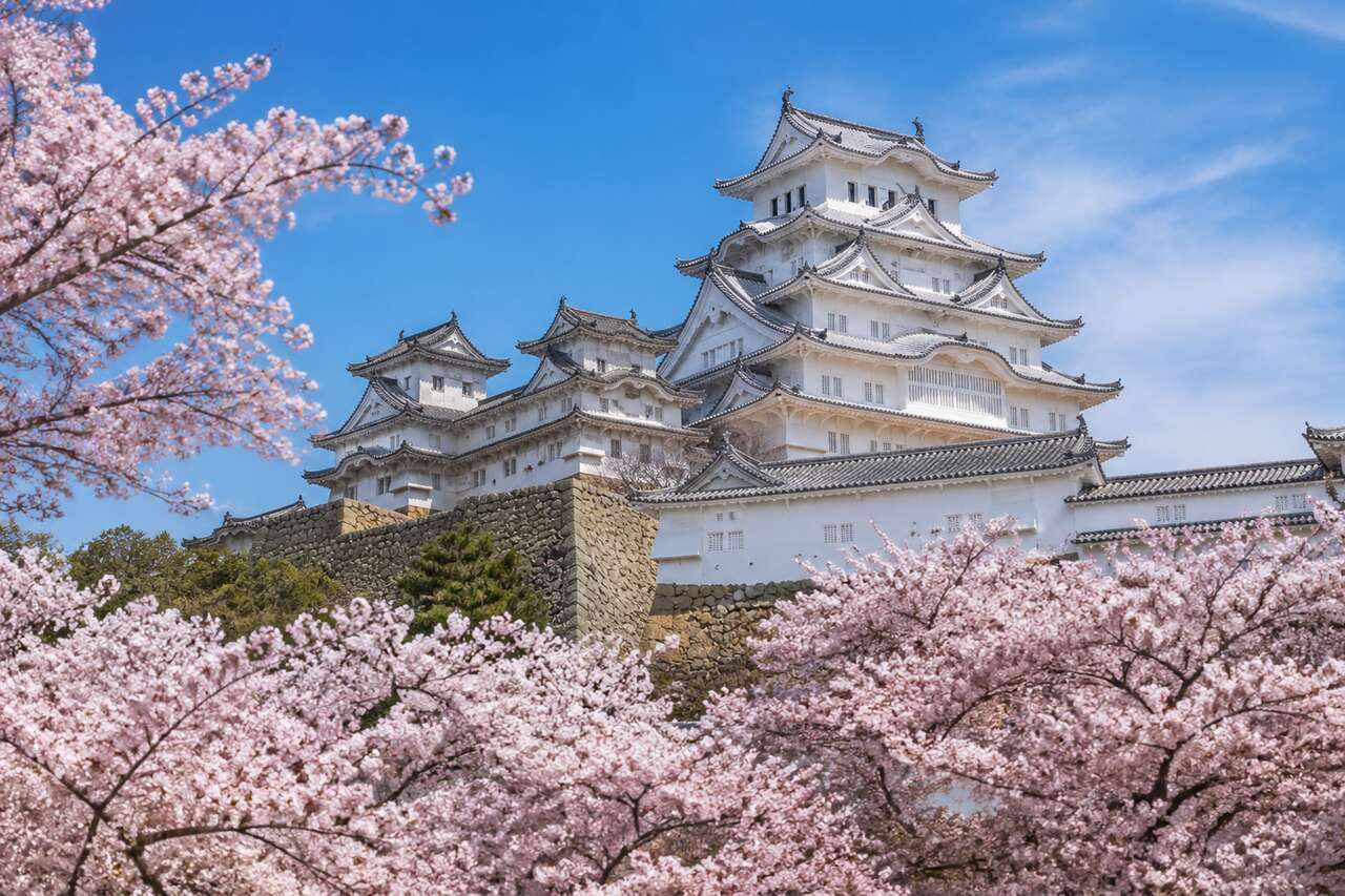 Découvrir la préfecture de Hyogo au japon