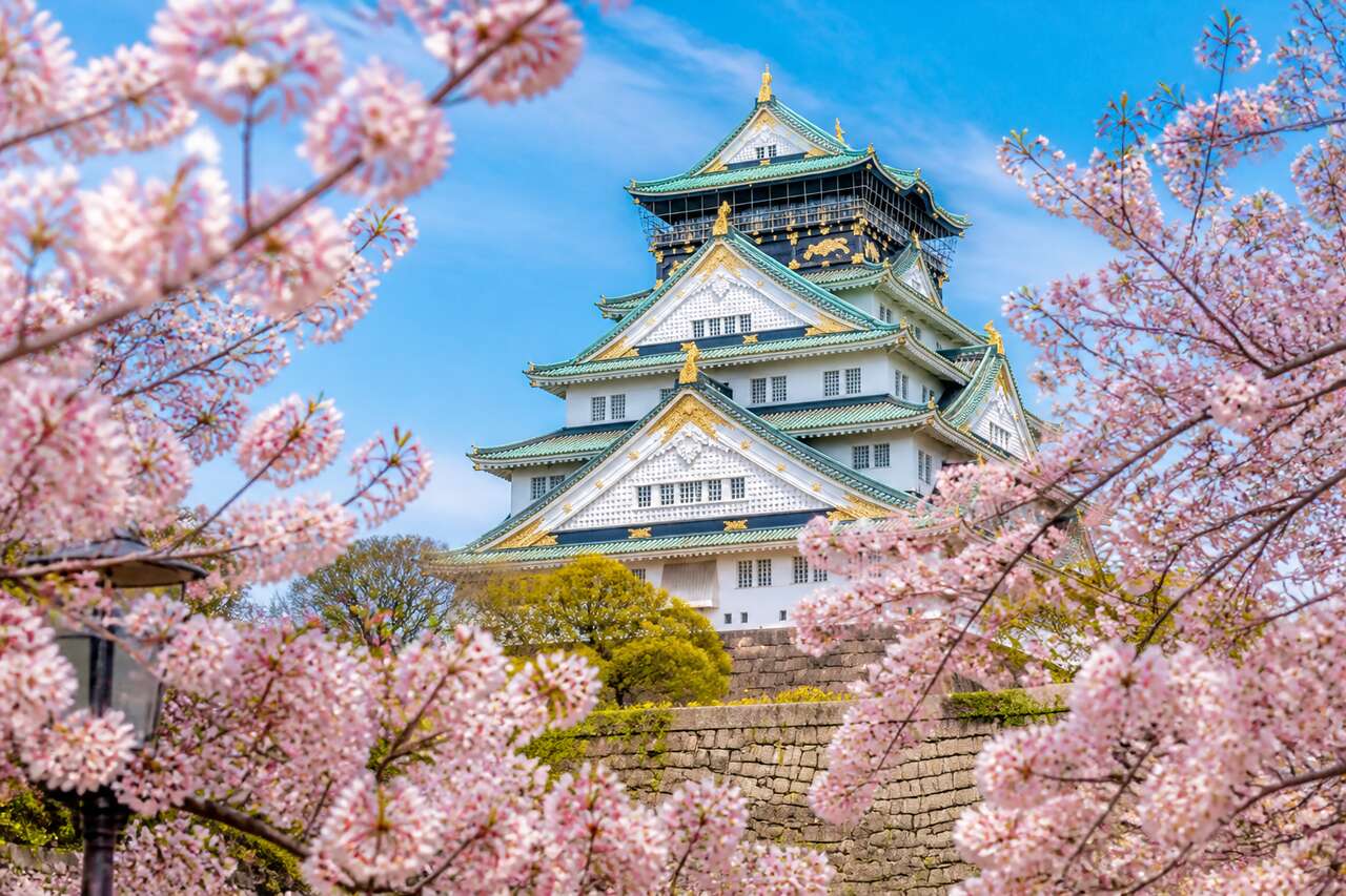 Art Et Design À Osaka : inspiration et créativité