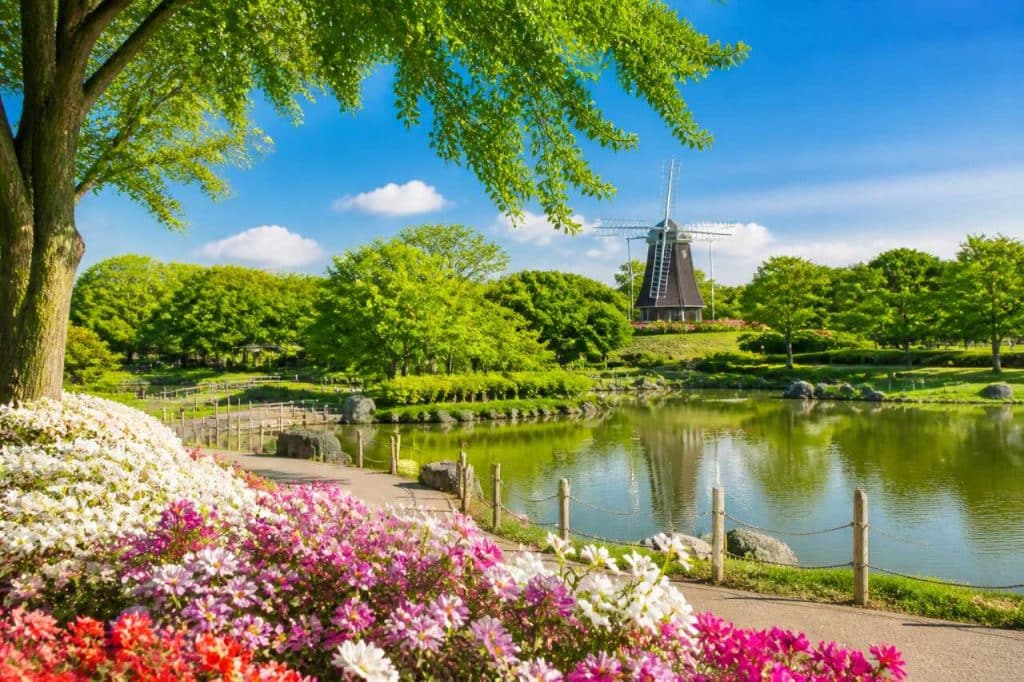 Parc tsurumi ryokuchi à osaka : nature et détente