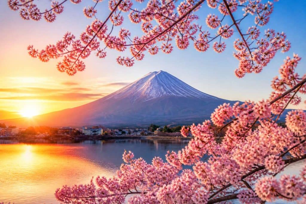 Vivre au Japon : reprendre des cours, est-ce possible ?