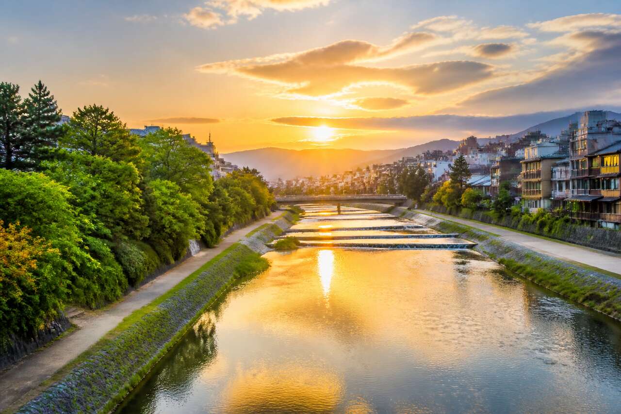 Découvrir le Kamo-gawa à Kyoto : une promenade apaisante
