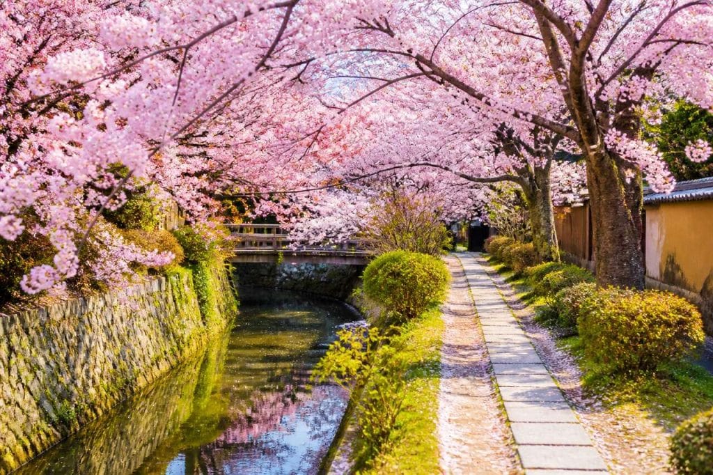 Chemin Nakaragi-no-Michi à Kyoto : promenade incontournable