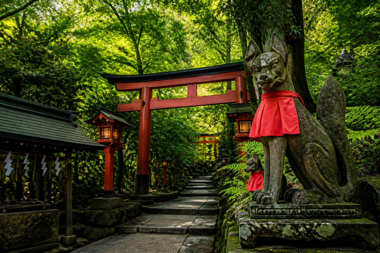 Découvrir Sasuke Inari à Kamakura : sanctuaire mystique au Japon