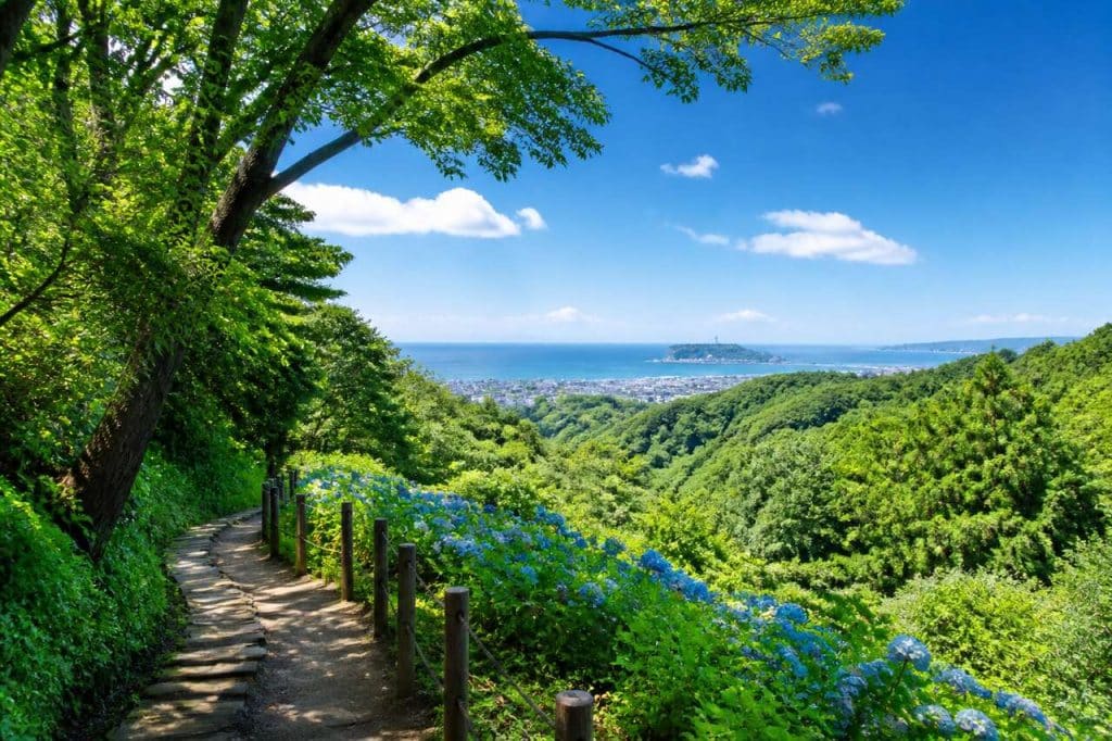 Randonnée sur le chemin de Tenen à Kamakura