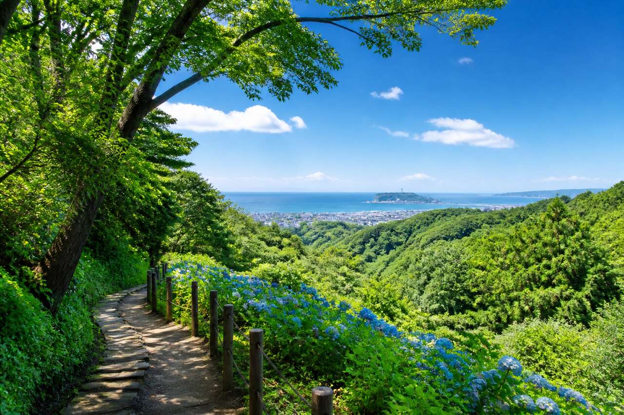 Randonnée sur le chemin de Tenen à Kamakura