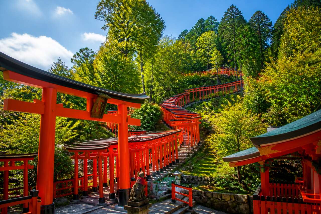 Saké fushimi à kyoto : dégustation et culture