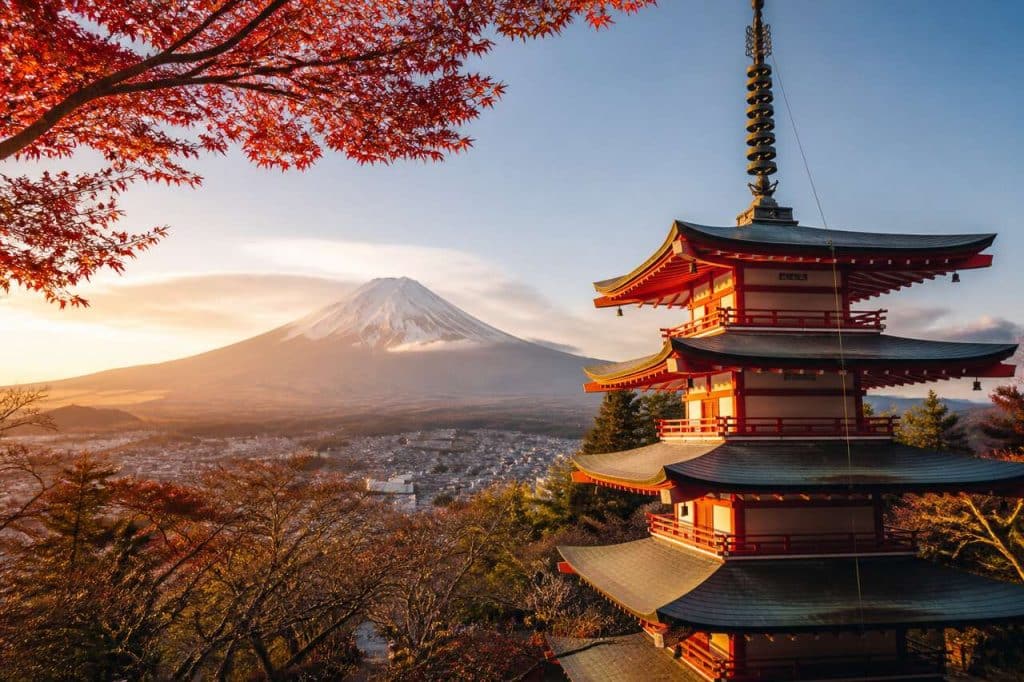 Que manger au Japon : top 20 des plats incontournables