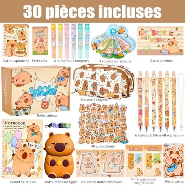 Découvrez notre test complet de l'ensemble papeterie Zadoreck capybara kawaii. Qualité, design et praticité pour les enfants : avis détaillé et conseils d'achat. 